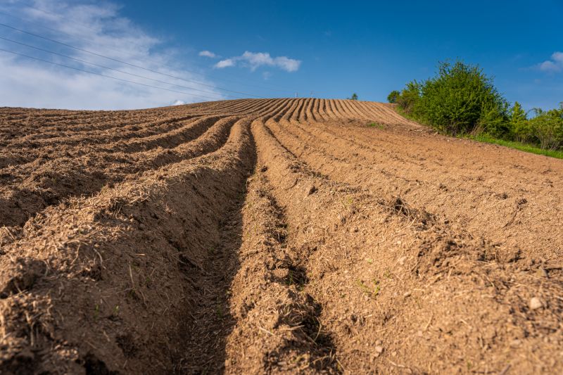Cost of Land Grading — Cost of Land Grading