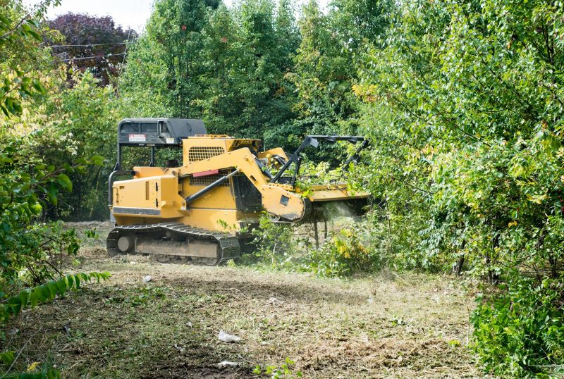 Hill Clearing in Atlanta, GA